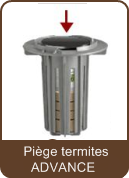 Pièges détecteurs de termites