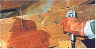 Produits anti termite traitement sur bois